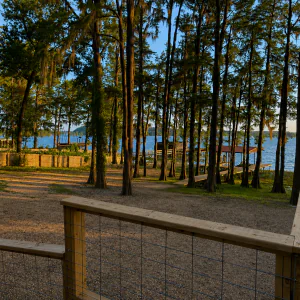 #image_title Wooden railing and deck overlook a sandy path through a grove of tall trees toward a calm lakeside with docks and blue water in the distance.
