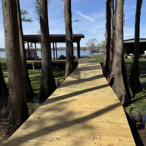 #image_title Wooden boardwalk between tall trees leads to a lakeside dock with a shelter and blue sky above.