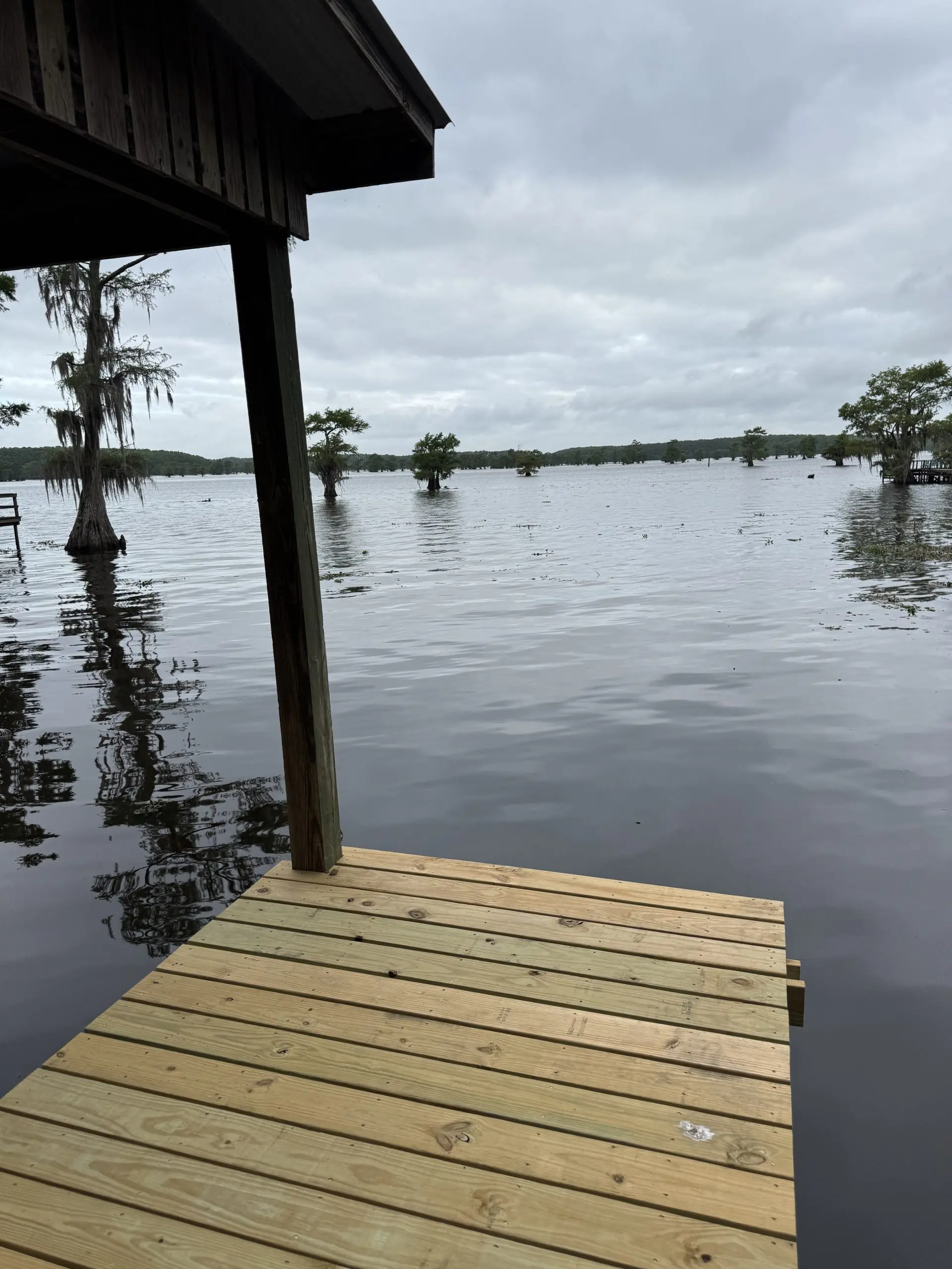 #image_title Wooden dock extending into a calm lake, with trees standing in the water under a cloudy sky, seen from under a boathouse.