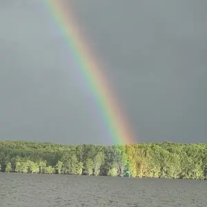 #image_title Rainbow arcing across a cloudy sky above a forested shoreline and calm lake in the foreground, with sunlight at the treetops nearby.