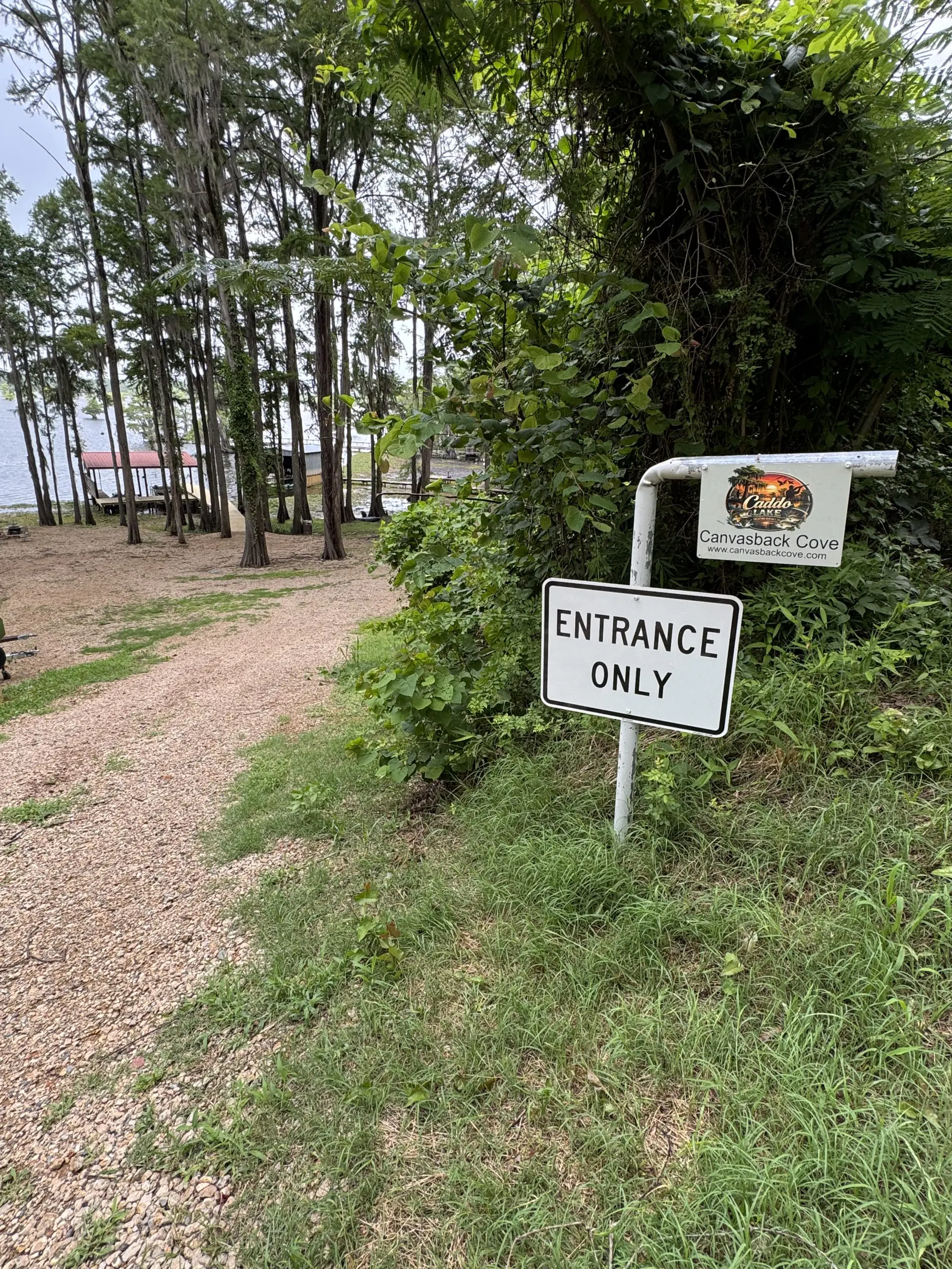 #image_title Lakeside trail with trees and a sign reading Canvasback Cove and Entrance Only near the path edge