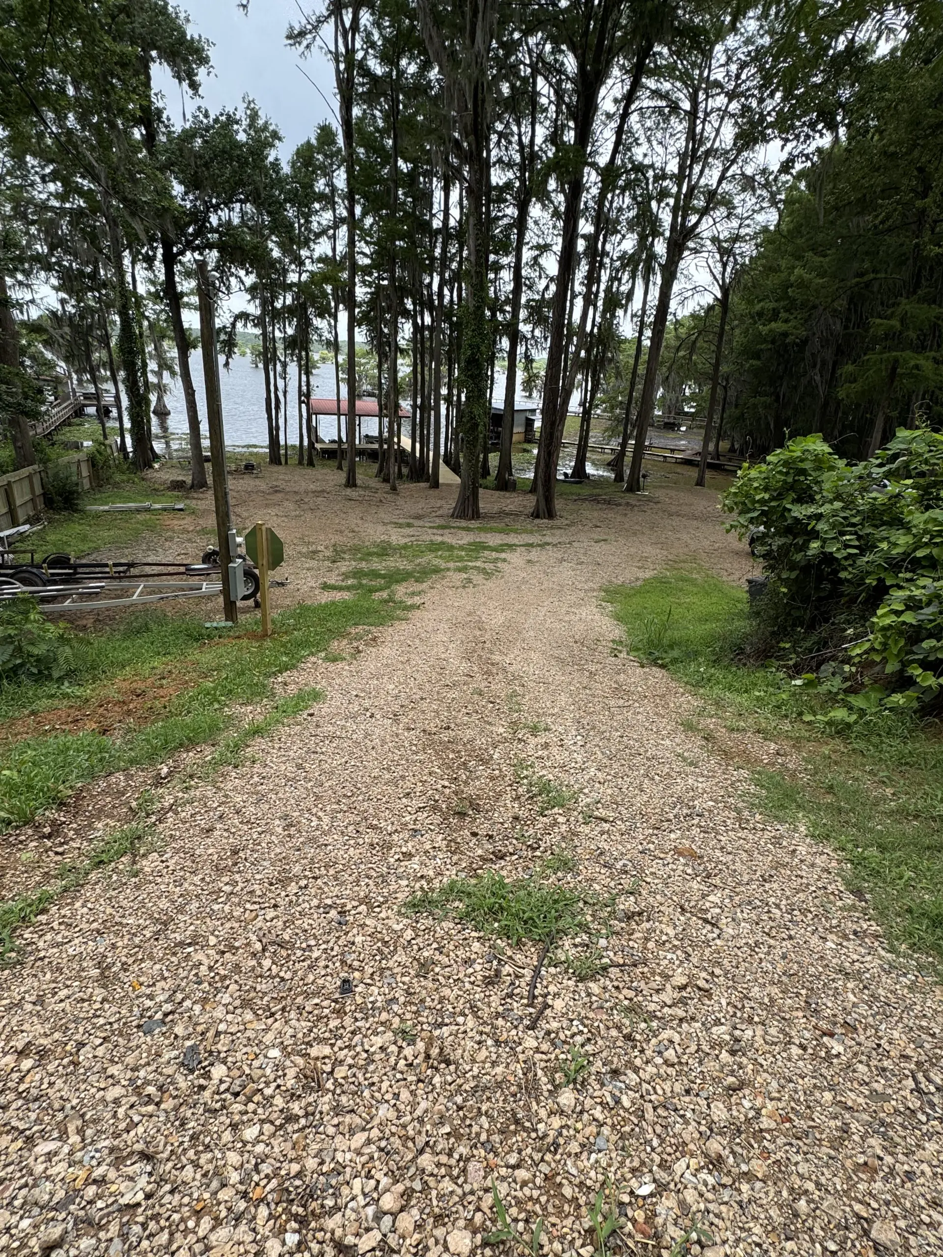 #image_title Gravel path leads to a lakeside scene with tall trees and a small dock at the water's edge.